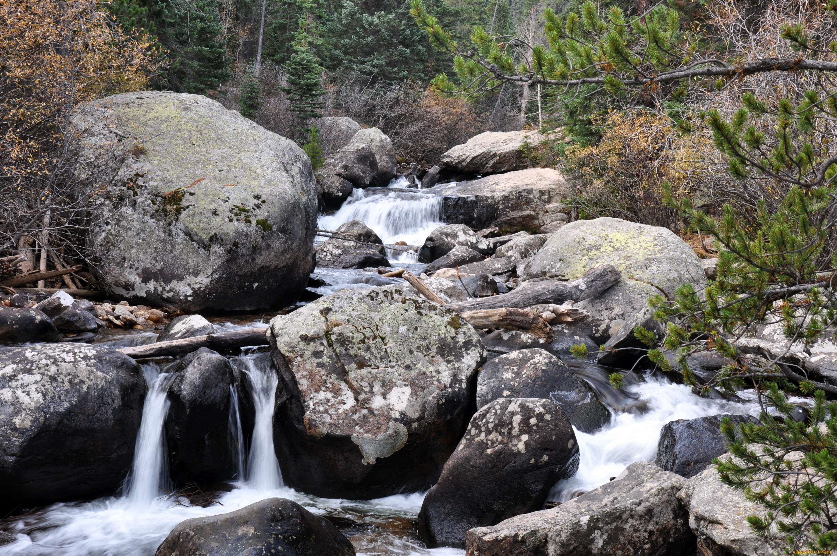 , , , colorado, rocky, mountain